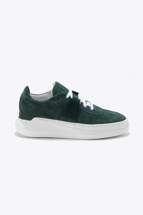 G025 : VERT SYLVESTRE